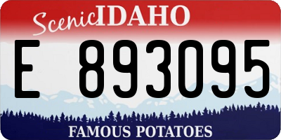 ID license plate E893095