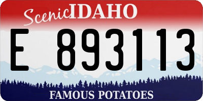ID license plate E893113