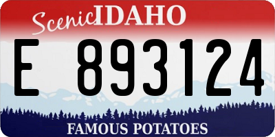 ID license plate E893124
