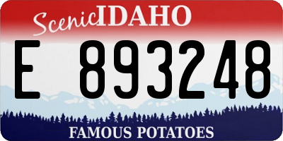 ID license plate E893248
