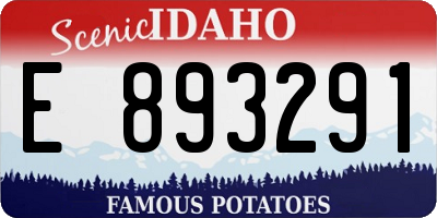 ID license plate E893291