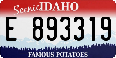ID license plate E893319
