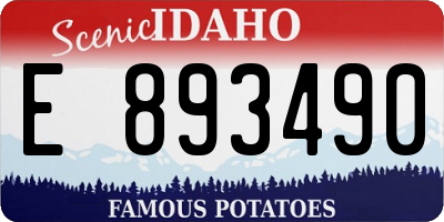 ID license plate E893490