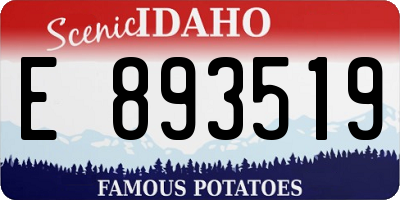 ID license plate E893519