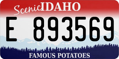 ID license plate E893569