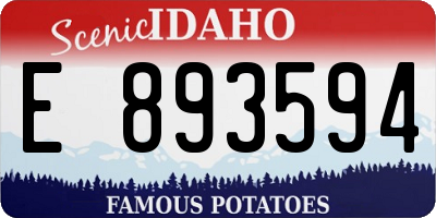 ID license plate E893594