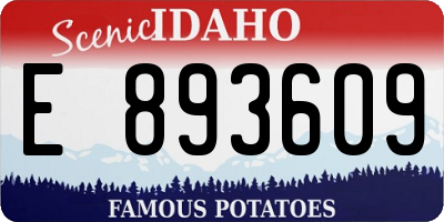 ID license plate E893609