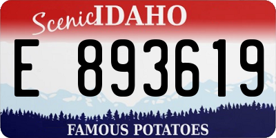 ID license plate E893619