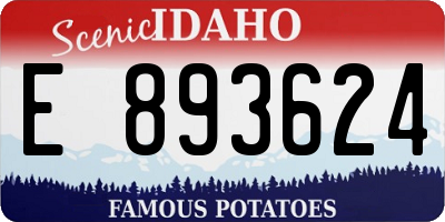 ID license plate E893624