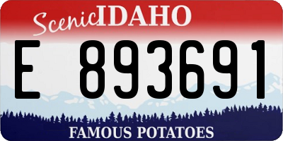 ID license plate E893691