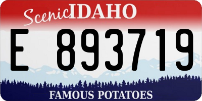 ID license plate E893719