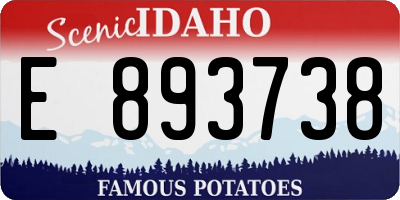 ID license plate E893738