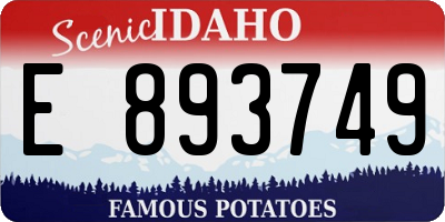 ID license plate E893749
