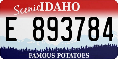 ID license plate E893784