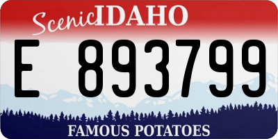 ID license plate E893799