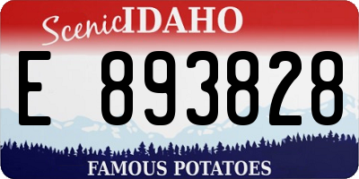 ID license plate E893828