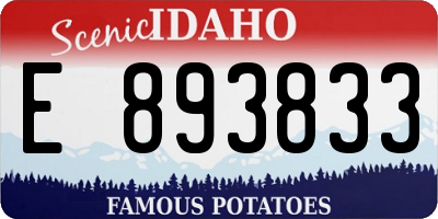 ID license plate E893833
