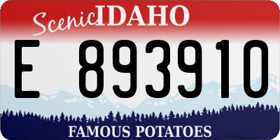 ID license plate E893910