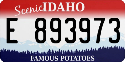 ID license plate E893973