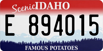 ID license plate E894015