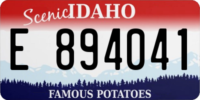 ID license plate E894041