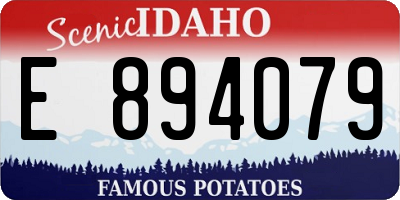 ID license plate E894079