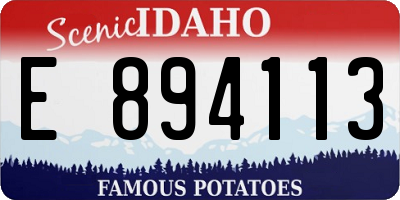 ID license plate E894113
