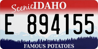 ID license plate E894155