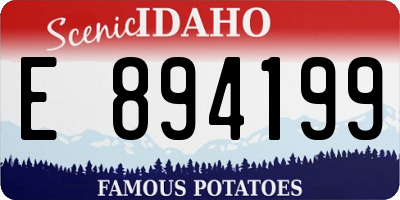 ID license plate E894199