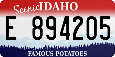ID license plate E894205
