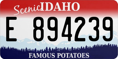 ID license plate E894239