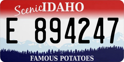 ID license plate E894247