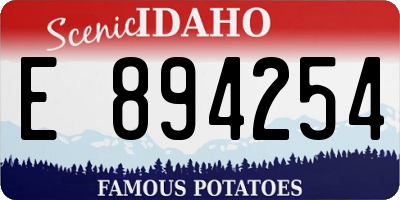 ID license plate E894254
