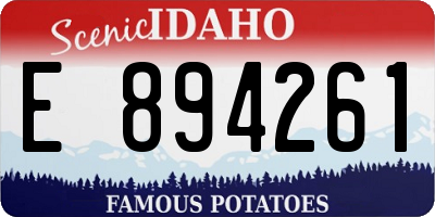ID license plate E894261