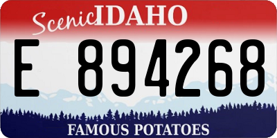 ID license plate E894268