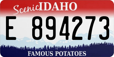 ID license plate E894273