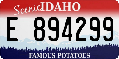 ID license plate E894299