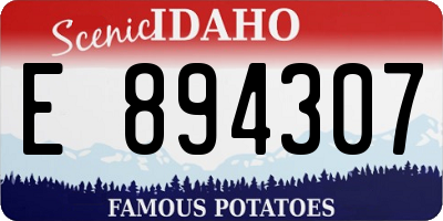 ID license plate E894307