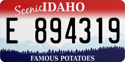 ID license plate E894319