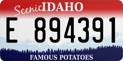 ID license plate E894391
