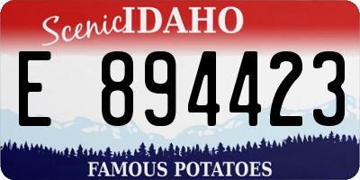 ID license plate E894423