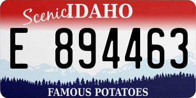 ID license plate E894463