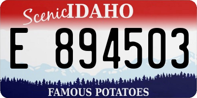 ID license plate E894503