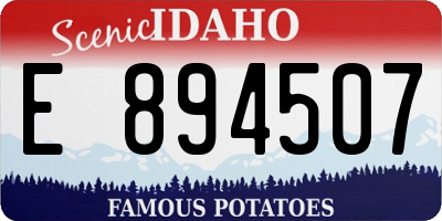 ID license plate E894507