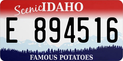 ID license plate E894516
