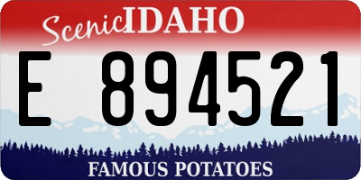 ID license plate E894521