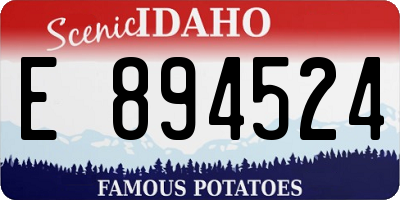 ID license plate E894524