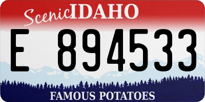 ID license plate E894533