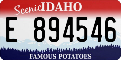 ID license plate E894546
