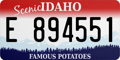 ID license plate E894551